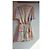 Vanessa Bruno kurzes Blumenprint-Kleid Pink Blau Mehrfarben Beige Grün Orange Gelb - Ansicht 2
