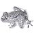 Autre Marque Spilla rana Nature di Tiffany & Co. Argento - vista 4