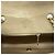 Borsa a tracolla Chanel Diana Chain Beige - vista 5