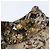 Blumarine Strickkleid aus Wolle mit Animal Print Beige - Ansicht 4