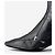 Botines de tacón kitten de punta cuadrada con hebilla deportiva Prada de los 2000 - vista 8