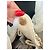 Chanel 19 Chanel 25 Sac Seau Cuir Caviar Blanc - vue 5