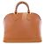 Borsa Louis Vuitton Epi Alma PM Marrone