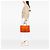 Hermès Orange Toile and Negonda Garden Party 36 - vue 6