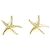 Autre Marque Pendientes Tiffany Starfish