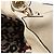 Bamboo Borsa Satchel Indy Large in pelle Guccissima e bambù Gucci Marrone Beige - vista 10