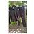 Burberry check pattern tracksuit Black - view 6