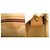 Borsa a tracolla Louis Vuitton Looping GM Monogram Marrone Monogramma - vista 10