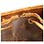 Bolsa Balde Louis Vuitton Monogram Noe Marrom Monograma - vista 12
