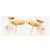 Chanel Orecchini Gold Coco Mark Camelia 03P D'oro - vista 5
