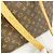 Bolso Tote Louis Vuitton Monogram Luco Castaño - vista 11