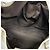 Borsa Tote Gucci GG Canvas Abby Marrone Beige - vista 4