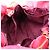 Borsa a tracolla Loewe Flamenco 30 Anagram Rosa Arancione - vista 9