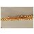 FRED Pearls Sonnenbrille Gold Braun Golden - Ansicht 7