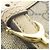 Borsa Gucci 309613 KGD6G Beige - vista 5