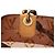 Louis Vuitton Monogram Vinyl Cabas Ambre PM Tragetasche Braun - Ansicht 7