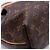Borsa Louis Vuitton Monogram Turenne PM M48813 Marrone Beige - vista 12