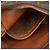 Bolso bandolera Louis Vuitton Monogram Amazon Castaño - vista 10