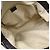 Gucci Sukey Boston GG Canvas Beige - vista 3