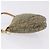 Christian Dior Saddle Canvas Mini Caqui - vista 5