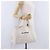Borsa a mano BALENCIAGA Navy Cabas Canvas Ivory Silver 339933 Auth 202675A Argento Crudo - vista 27