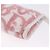 Pouch Christian Dior Trotter Canvas Pile Pink Auth 203042 Rosa - vista 13