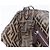 FENDI x FRGMT x POKEMON Mamma Baguette Kairyu Zucca Brown 8BR600 Auth 167552SM Marrone Argento - vista 24