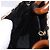 Borsa a mano Salvatore Ferragamo Canvas 2way Beige Gold Auth 202977V D'oro - vista 18