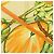 Foulard di seta Hermès Jardin Creole Arancione 90 - vista 8