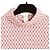 Céline Top in Maglia Triomphe Phoebe Philo Ecru e Rosso Bianco - vista 2