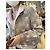 Chanel Wool Coat Multi Color Size 38 Multiple colors - view 8