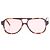 Autre Marque Solaires Gelo Tortoise Cinnamon Castaño