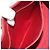 GUCCI GG Canvas Jackie Hand Bag Red Silver 01719 - vista 23