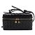Bottega Veneta Borsa a tracolla e borsa crossbody Phone Dumpling Bang Bang Vanity Case