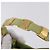 Borsa Salvatore Ferragamo Vala Canvas Green Gold Auth 202914A D'oro Verde - vista 15