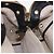 Borsa a mano FENDI Chameleon Canvas 2way Beige Tono Oro 8BL114 Auth 202092 - vista 24