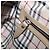 BURBERRY Handtasche aus Leder beige silber authentisch 202999A - Ansicht 21