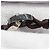 Bracciale Cartier Baby Love con charm Marrone Nero Bianco - vista 14