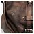 Bolso Tote Louis Vuitton Mahina - vista 11