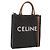 Céline Borsa a tracolla CELINE Macadam Canvas Triomphe in pelle 2way Brown Gold Auth mr2902A Marrone D'oro