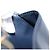 LOUIS VUITTON Monogram Mini Agenda PM Day Planner Cover Blue R20910 Auth BA15743 Azul - vista 11