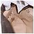 LOUIS VUITTON Monogram Trousse Toilette 23 Clutch Bag M47524 LV Auth 201893 Monogramma - vista 18
