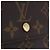 LOUIS VUITTON Monogram Portefeuille Elise Trifold Wallet M61654 LV Auth am12590V Monograma - Ansicht 17