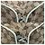 Borsa Tote Gucci GG Canvas Beige Crudo - vista 15
