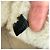 Borsa a tracolla Gucci Dionysus Medium in pelle e shearling Nero Bianco - vista 15