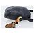 Borsa a tracolla LOEWE Flamenco in pelle nera autentica 202986A Nero - vista 3