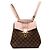 Zaino Louis Vuitton Damier Ebene Clapton Marrone