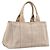 PRADA Canapa MM Hand Bag Canvas Gray Gold Auth 203427 Brown Golden