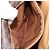 Céline Borsa a tracolla CELINE Macadam Canvas PVC Leather Brown Gold Auth mr2903 Marrone D'oro - vista 24