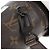 LOUIS VUITTON Monogram Everyday LV Coffee Cup Shoulder Bag M80812 - vista 19